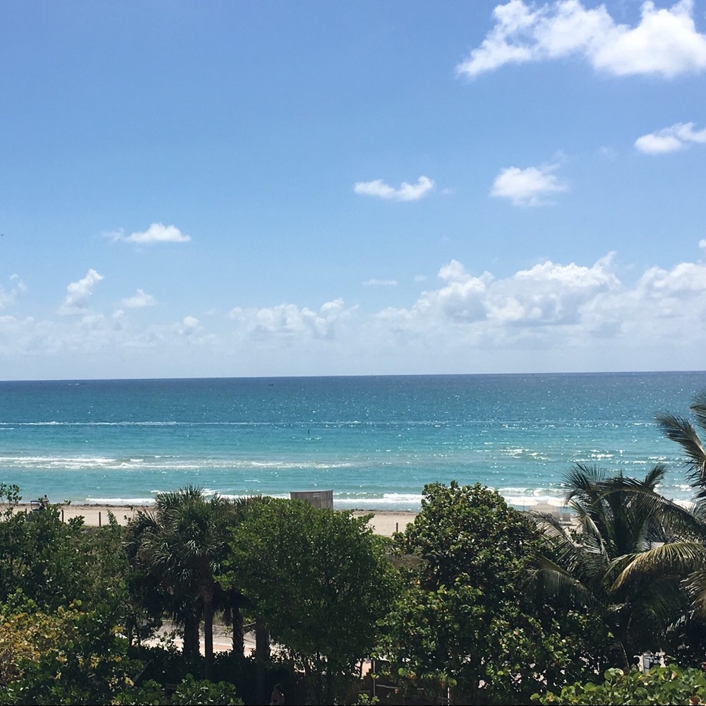 Meet your Posher, Jayne